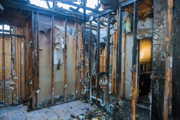 Professional Fire Damage Removal technician working in Kensington, MD