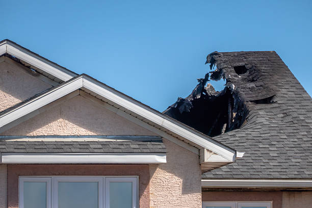 Top rated local Fire Damage Removal specialists in Kensington, MD